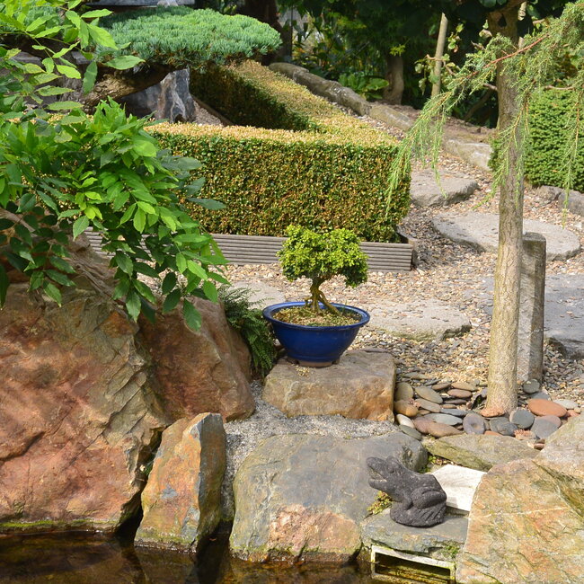 Inspiratie tuin met Japanse accenten Deel 1