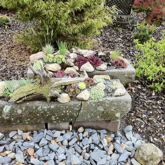 Plantenbakken en troggen