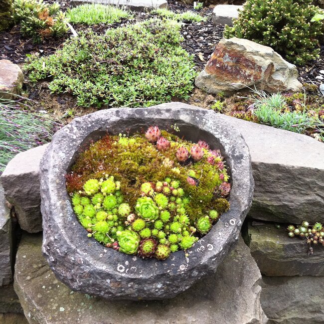 Plantenbakken en troggen