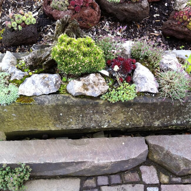 Plantenbakken en troggen