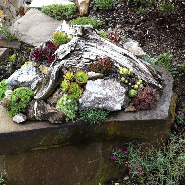 Plantenbakken en troggen