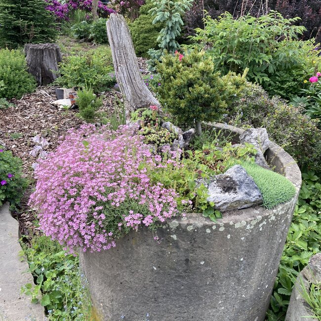 Plantenbakken en troggen