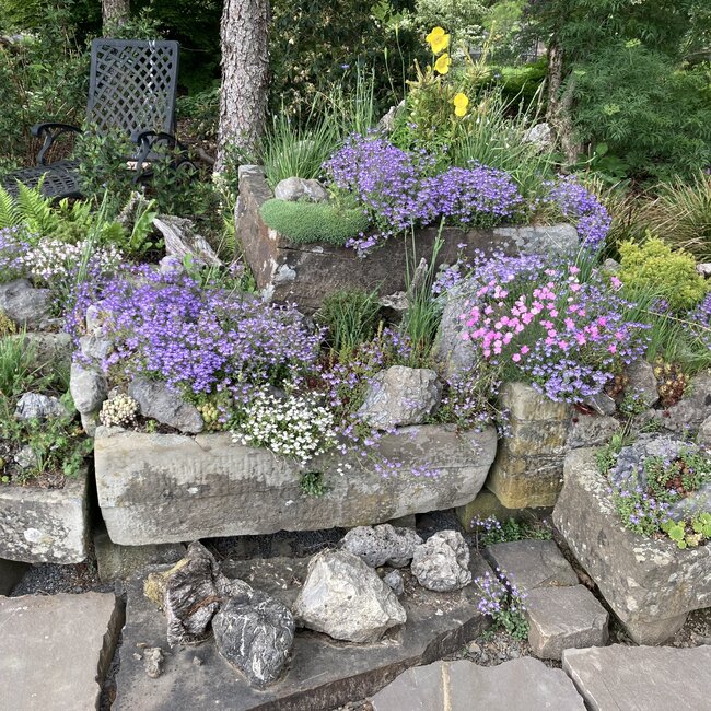 Plantenbakken en troggen