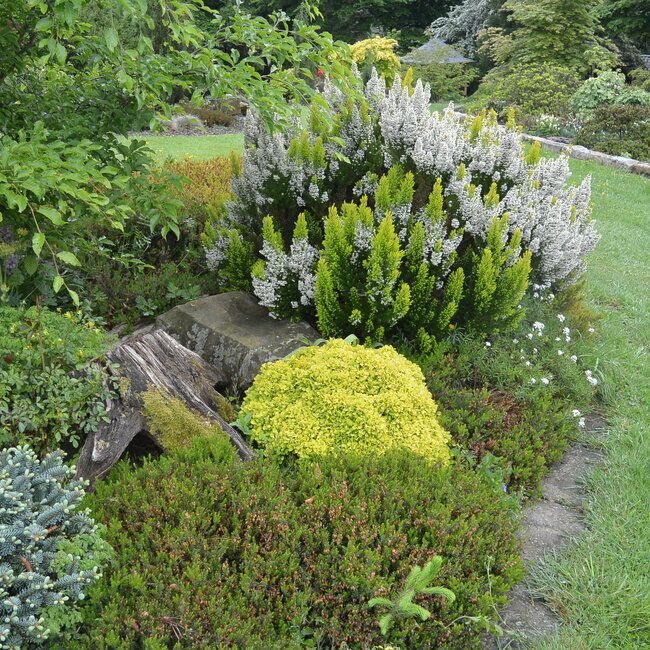 1A Kleurencombinaties in de tuin