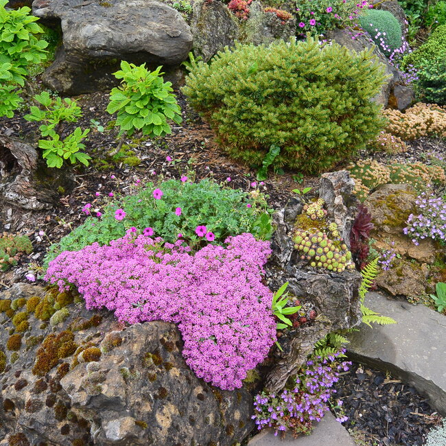 1 B. Kleurencombinaties in de tuin