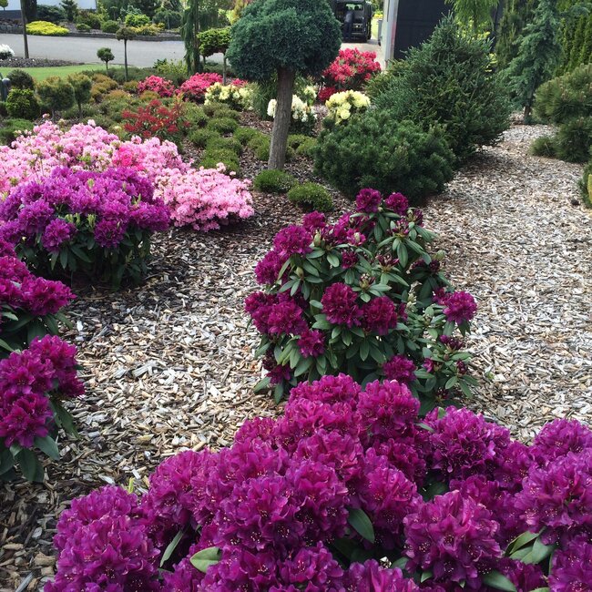 1 B. Kleurencombinaties in de tuin