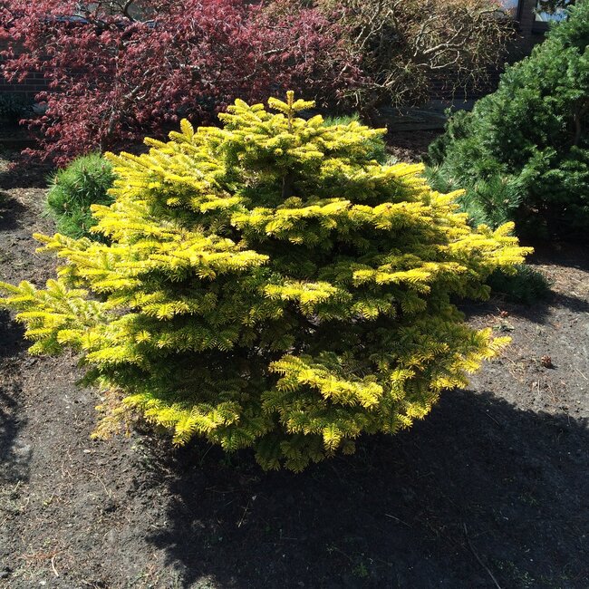 1 B. Kleurencombinaties in de tuin