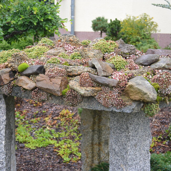 1 C. Kleurencombinaties in de tuin