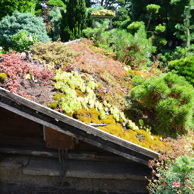 1 C. Kleurencombinaties in de tuin