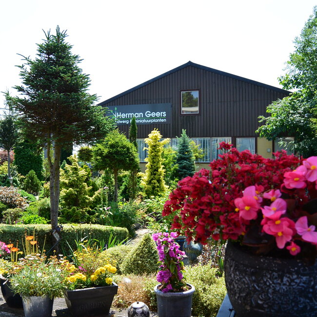 1 C. Kleurencombinaties in de tuin