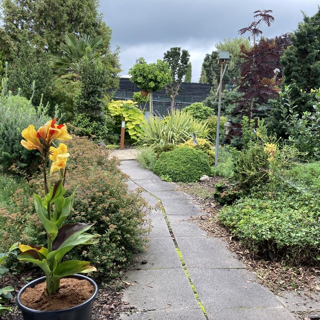 1 D. Kleurencombinaties in de tuin