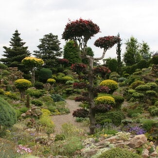 1 D. Kleurencombinaties in de tuin