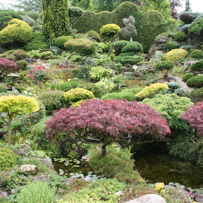 1 D. Kleurencombinaties in de tuin