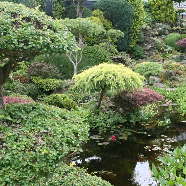 1 D. Kleurencombinaties in de tuin