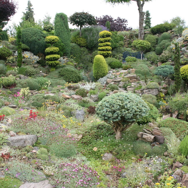 1 D. Kleurencombinaties in de tuin