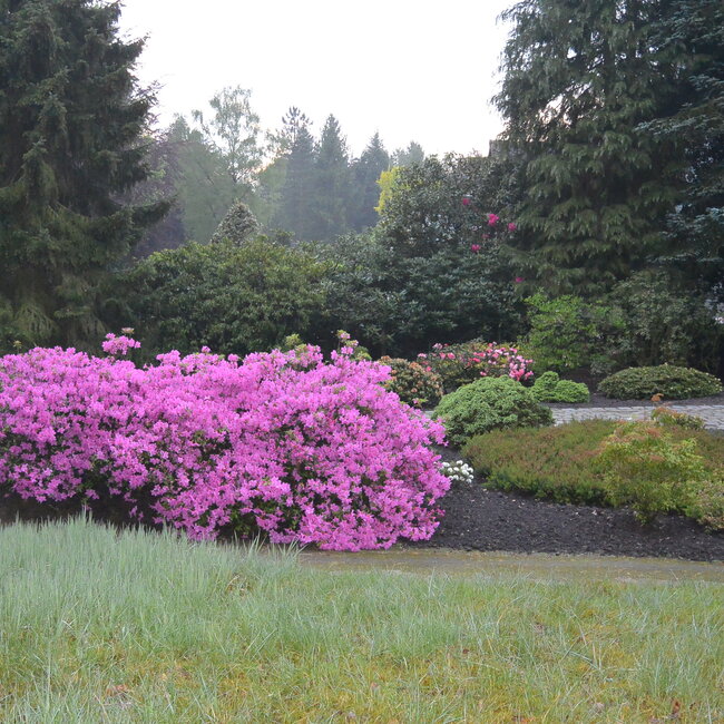 1 E. Kleurencombinaties in de tuin