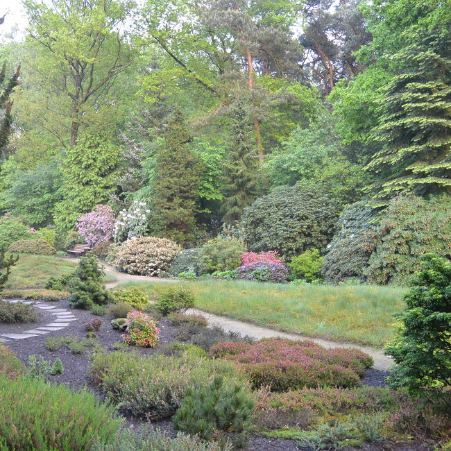 1 E. Kleurencombinaties in de tuin