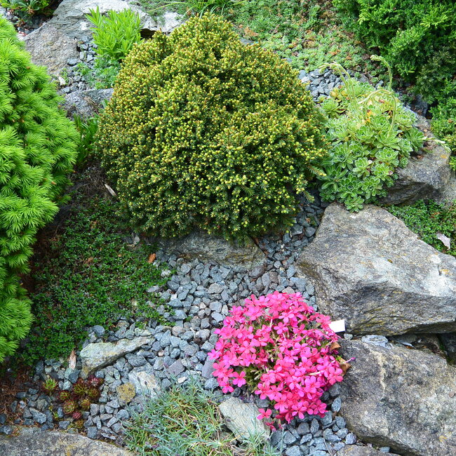 1 E. Kleurencombinaties in de tuin