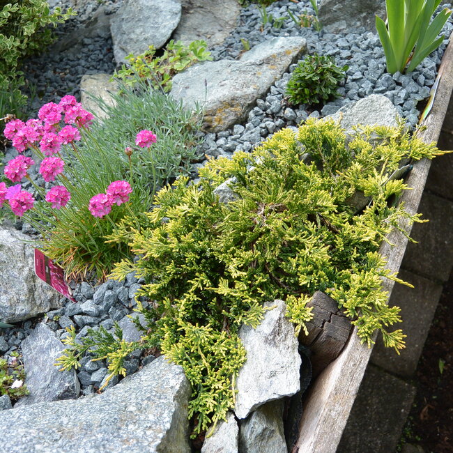 1 E. Kleurencombinaties in de tuin