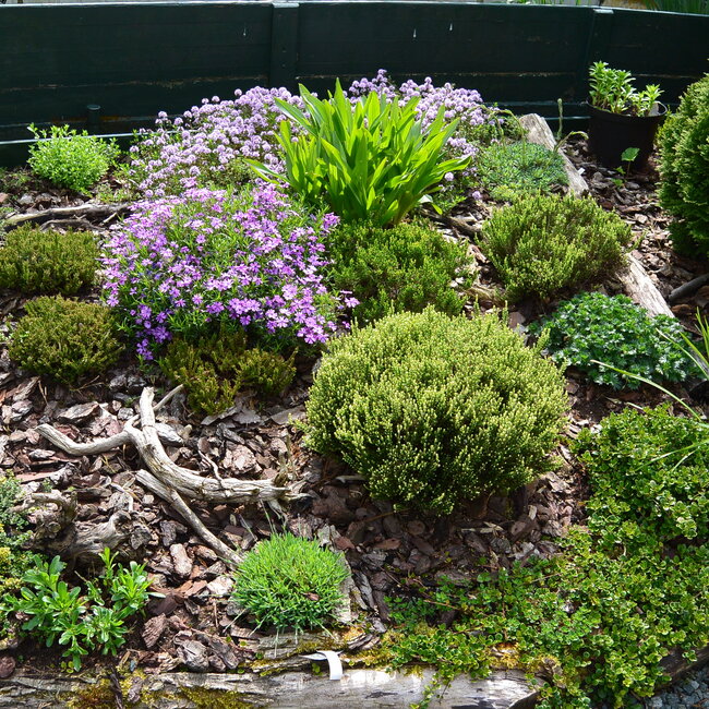 1 E. Kleurencombinaties in de tuin