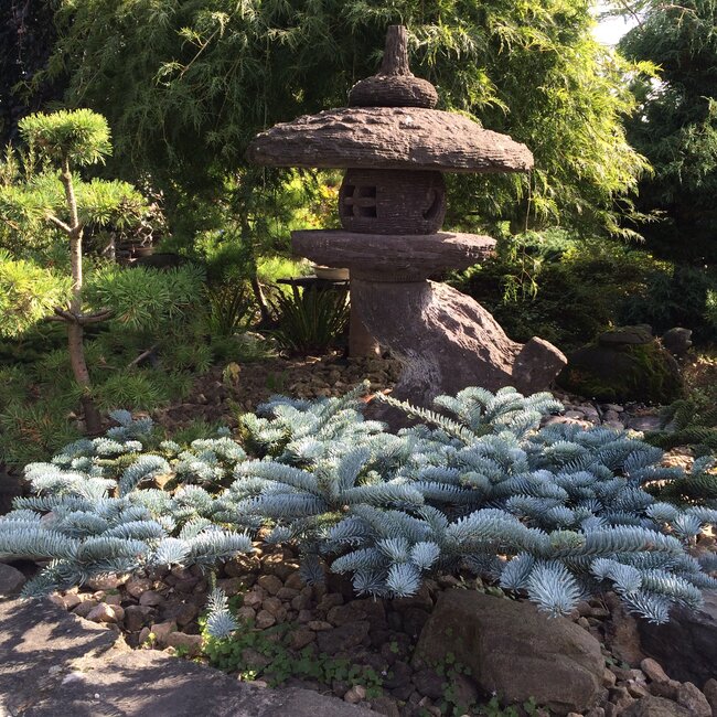 Inspiratietuin met Japanse accenten Deel 2