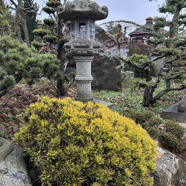 Inspiratietuin met Japanse accenten Deel 4