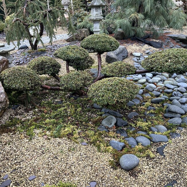 Inspiratietuin met Japanse accenten Deel 4