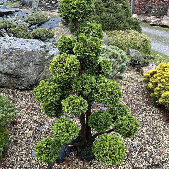 Inspiratietuin met Japanse accenten Deel 4