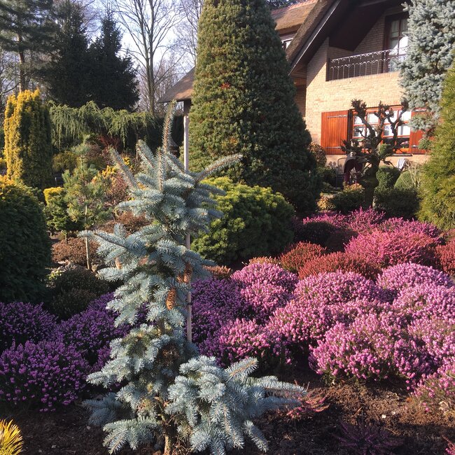 Kleurencombinaties in de tuin deel D
