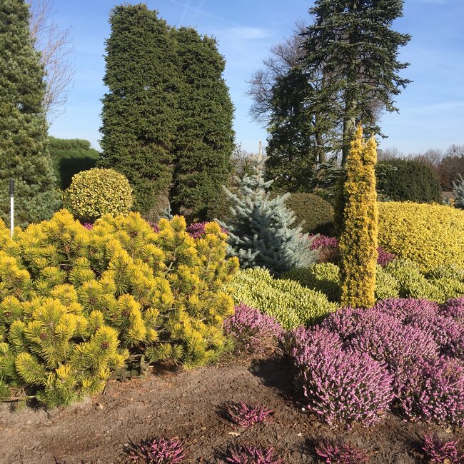 Kleurencombinaties in de tuin deel D