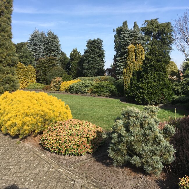 Kleurencombinaties in de tuin deel D