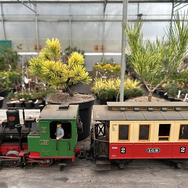 LGB Treinen voor Tuin spoorbaan - Garden railway