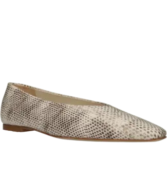 odare Catagena ballerina Odare