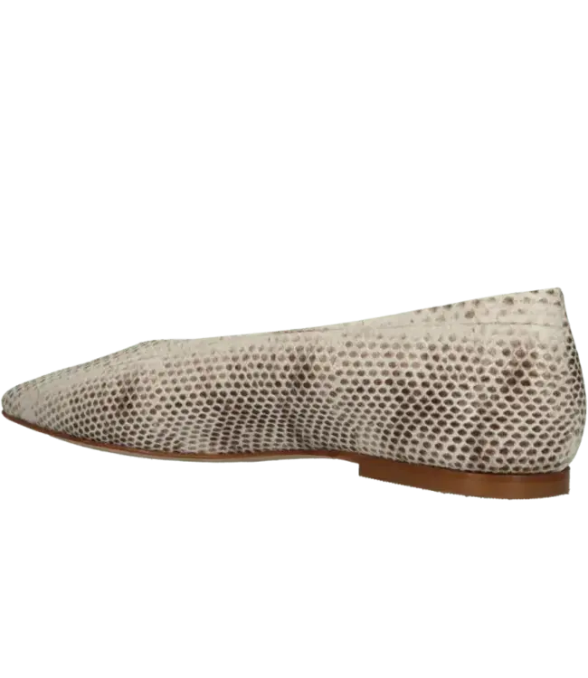 odare Catagena ballerina Odare