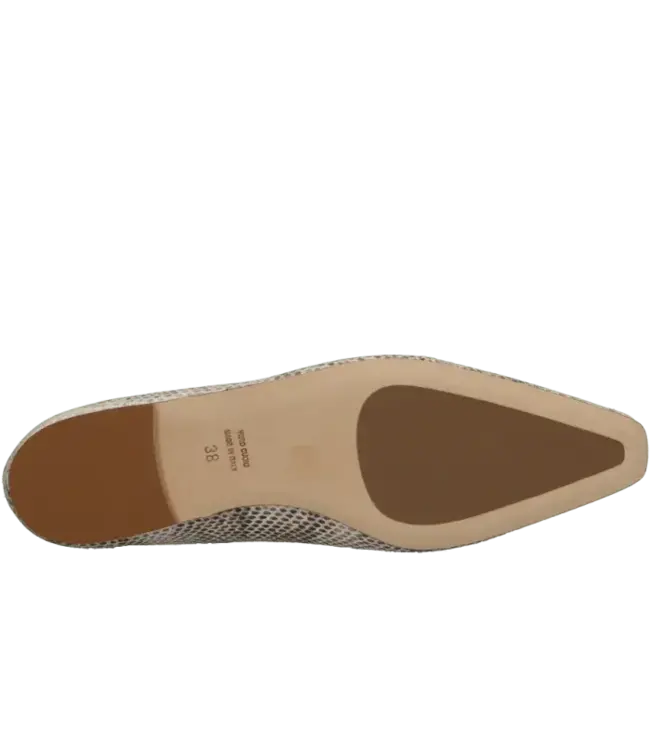 odare Catagena ballerina Odare