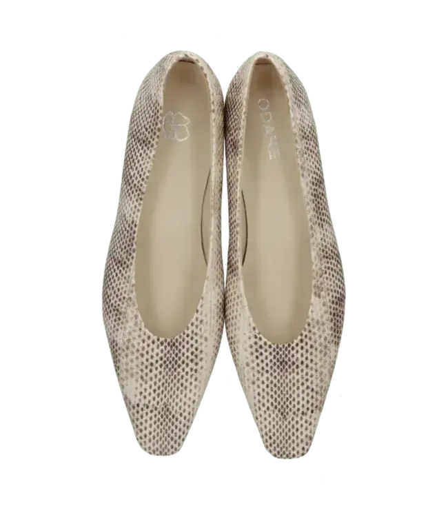 odare Catagena ballerina Odare