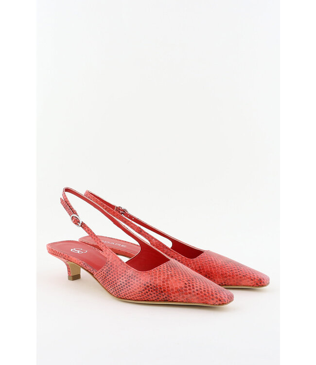 odare Anna ballerina Odare