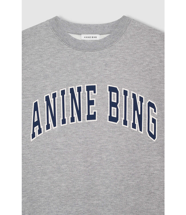 anine bing Spencer sweatshirt