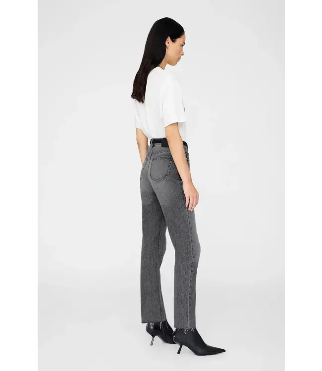 Anine Bing Cohen tee paris tencil