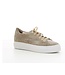 AGL CRISTAL NEW SNEAKER AGL