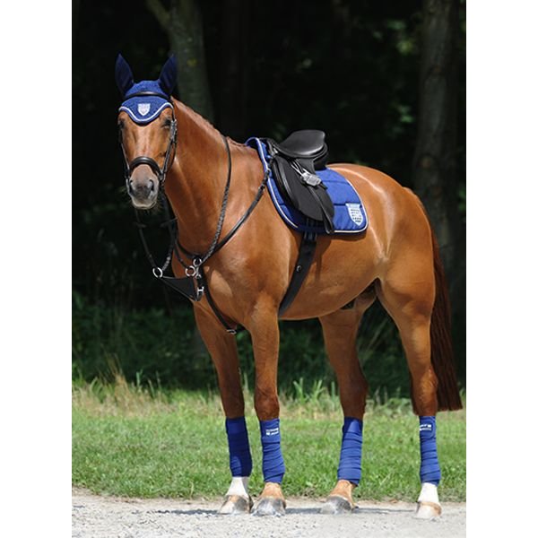 Passier Phoenix Breastplate + Closed and Running Martingale Attachment Black