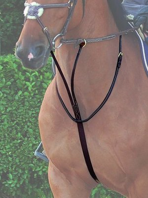 WO Running Martingale Attachment Black