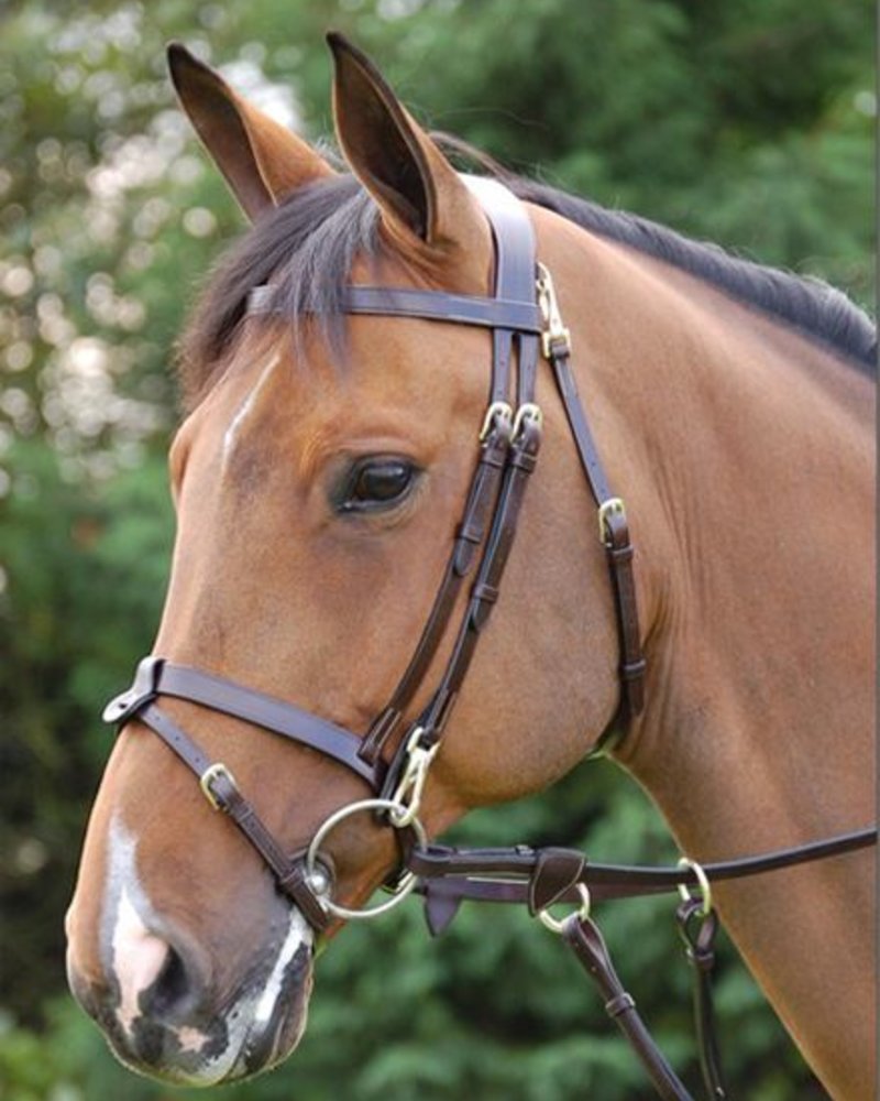 Dy'on Dy'on WO Flat Leather Bridle With Snap Hooks Brown