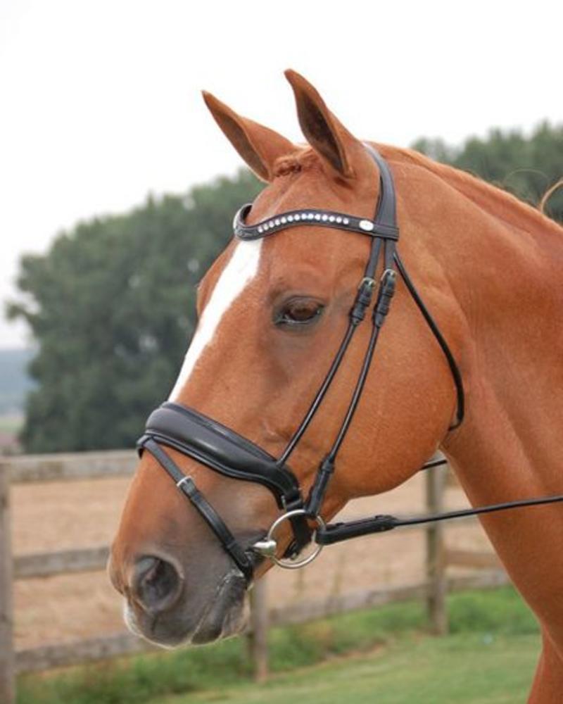Dy'on Dy'on DR Large Crank Noseband Bridle With Flash Mat Black/Black