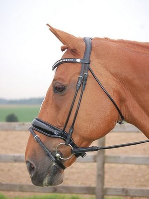 DR Large Crank Noseband Bridle With Flash Patten Black/Black