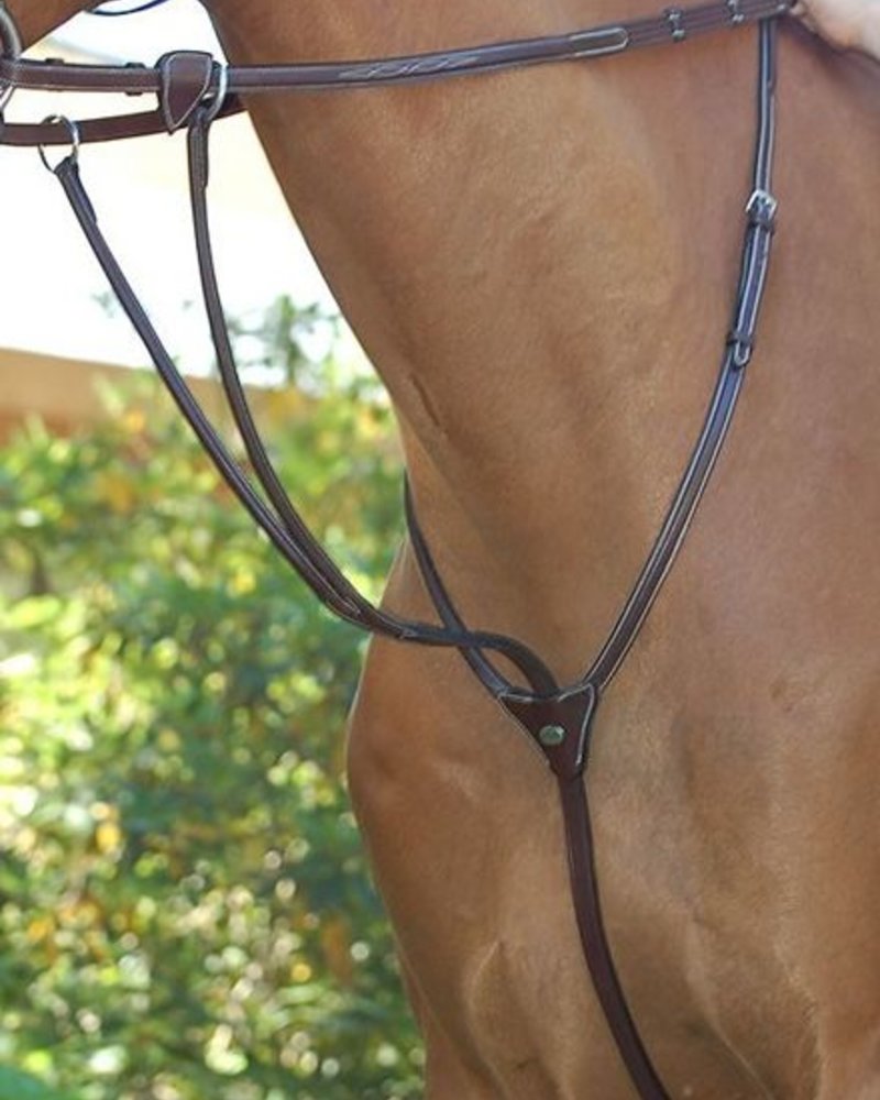 Dy'on Dy'on Hunter Running Martingale