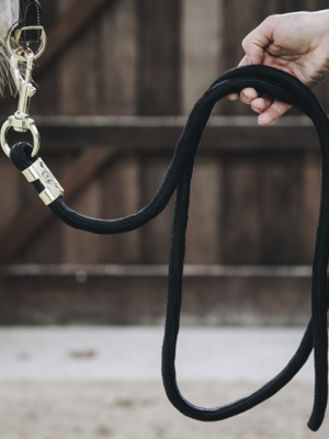 Horse Leash Basic Brown 2M