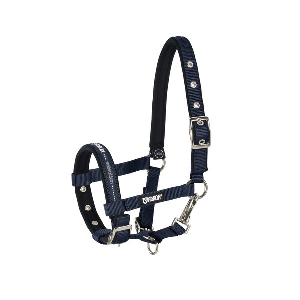 Eskadron NB Halter Foal Navy