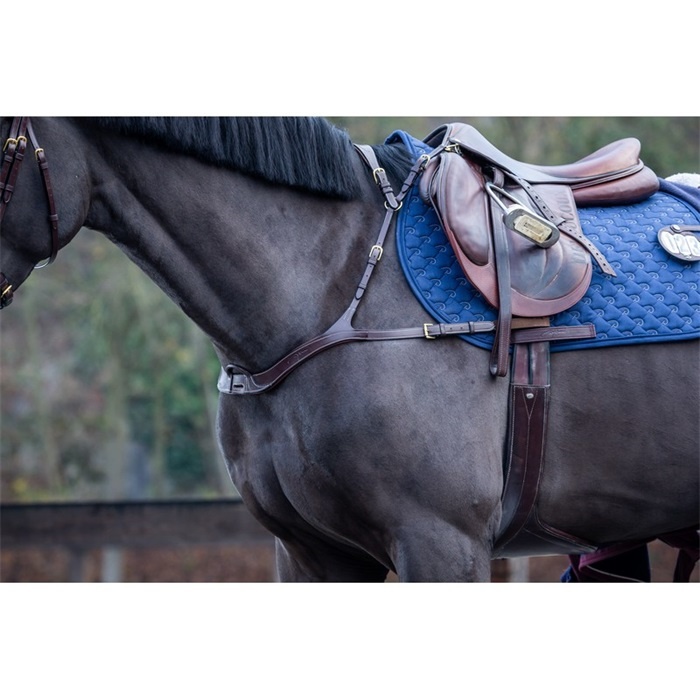 Dy'on DC Anatomic Breastplate Brown House of Horses