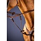 Dy'on NE Elastic Running Martingale Attachment Brown